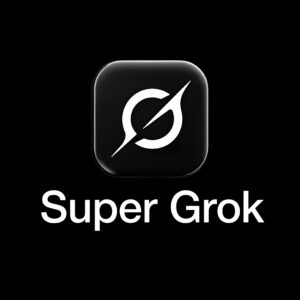 grok-head Super Grok - 1 Month